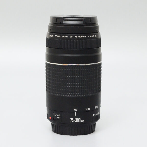 CANON EF 75-300mm f/4-5,6 III